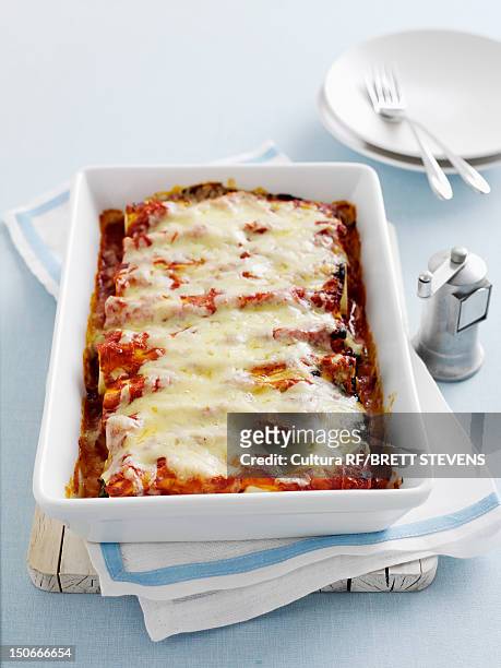 dish of baked cannelloni - cannelloni stock pictures, royalty-free photos & images