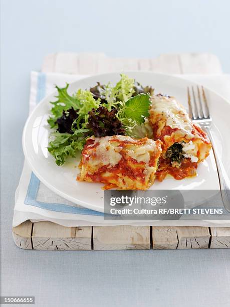 dish of baked cannelloni - cannelloni stock-fotos und bilder