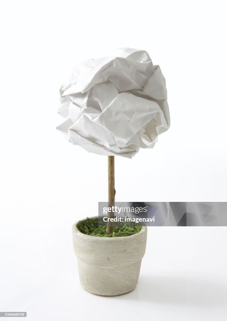 Plant of paper waste