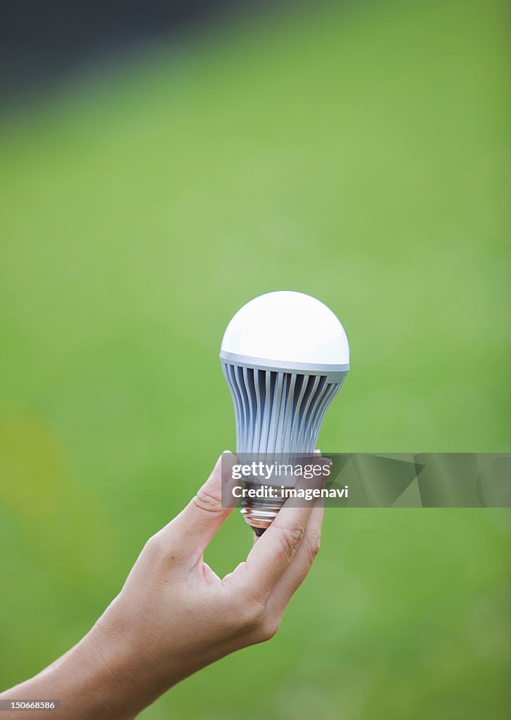 Woman's hand holding LED bulb