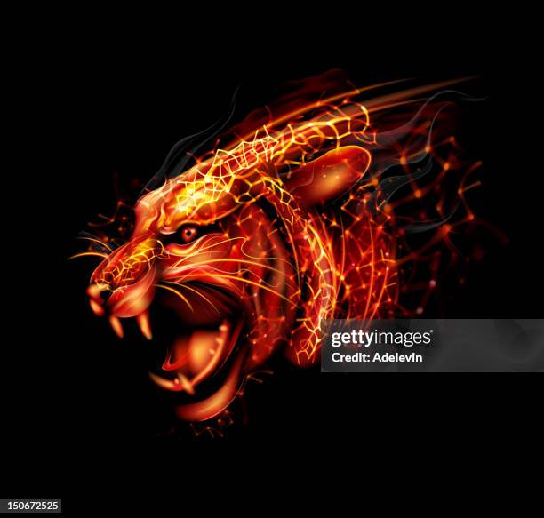 cartoon fireworks of tiger head - fire face stock illustrations