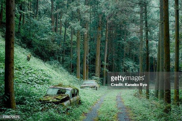 two cars in woods - rusty car stock-fotos und bilder