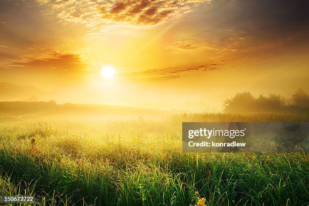 colorful and foggy sunrise over grassy meadow - landscape - sunrise stockfoto's en -beelden