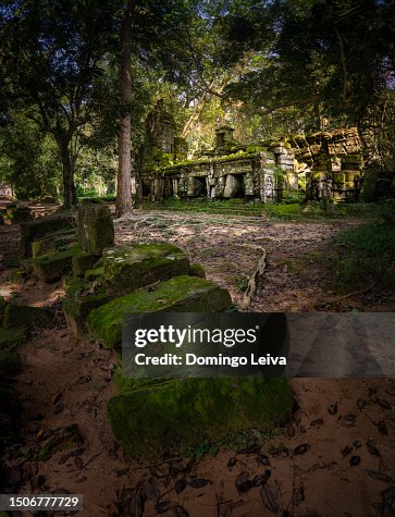 Templo Ta Prohm Camboya Angkor Wat Siem Reap Templo Ta Prohm Camboya Angkor Wat Siem Reap