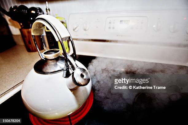 whistling tea kettle stove - williamsburg virginia stock pictures, royalty-free photos & images