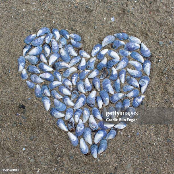 Heart Behind Shell Heart Shaped Shell Photos and Premium High Res Pictures - Getty Images
