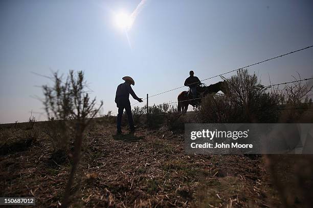 Colorado Rancher Photos and Premium High Res Pictures - Getty Images