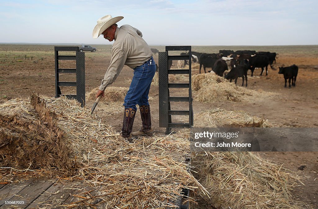 Historic Drought Cripples Ranches And Farms In American West