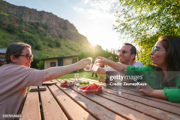 family reunion, weekend activities at the backyard - garden brunch stock pictures, royalty-free photos & images