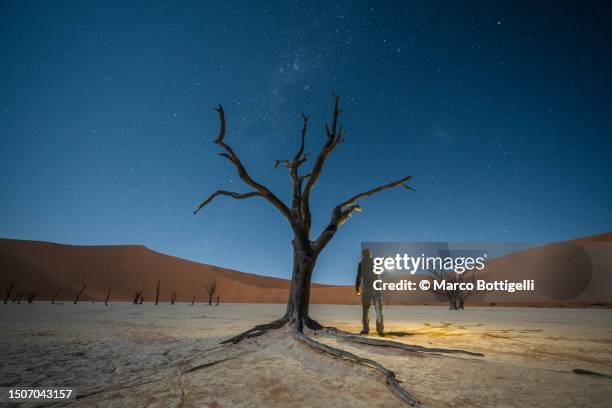 man exploring the desert with lantern at night - sossusvlei stock pictures, royalty-free photos & images