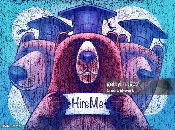 fresh graduate bear looking for job - brutal honesty stock illustrations