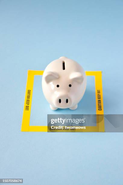 wealth protection conceptual image with piggy bank. - garder photos et images de collection