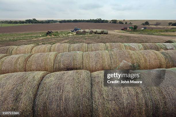 Bales of hay sit on a family farm on August 24, 2012 near Logan, Kansas. Hay has been one of the few successful crops for some farmers in the area,...