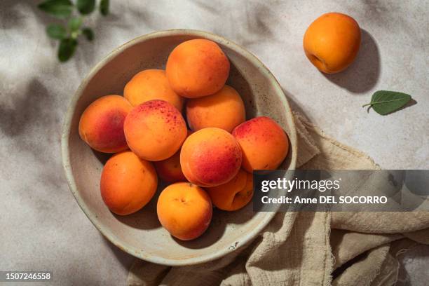 bowl of fresh apricots summer fruits on a table - apricot fotografías e imágenes de stock