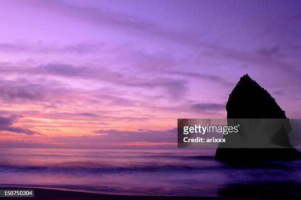 purple morning - mito ibaraki stock pictures, royalty-free photos & images