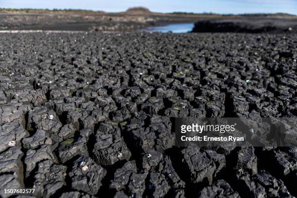 Dry section of Santa Lucia river is seen at the Paso Severino reservoir on July 01, 2023 in Florida, Uruguay. 'La Niña' climatic phenomenon has...
