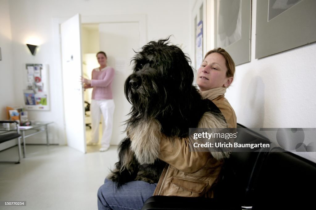 GERMANY, BONN, " The next please" - A woman with her dog in the waiting room of a veterinary surgeon.