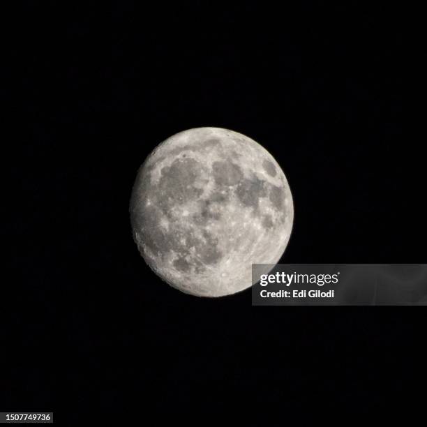 full moon on black sky - full house stock pictures, royalty-free photos & images