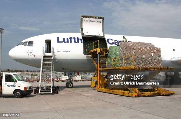 Cargo plane of the Lufthansa Cargo AG is loading up at the Frankfurt Airport.
