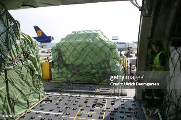 Cargo plane of the Lufthansa Cargo AG is loading up at the Frankfurt Airport.