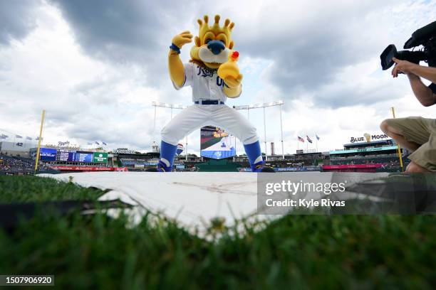 Sluggerr places a rubber duck on the tarp as the Kansas City Royals and the Los Angeles Dodgers game went under a rain delay before the start of the...