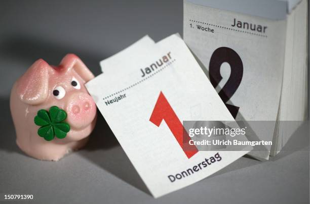 Fairy pig with page of a calendar .