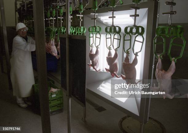 Butcher Shop Pattern Photos and Premium High Res Pictures - Getty Images