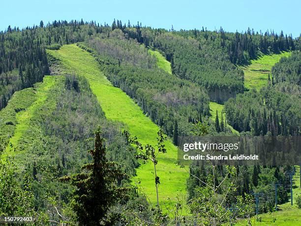 green slopes - lakewood imagens e fotografias de stock