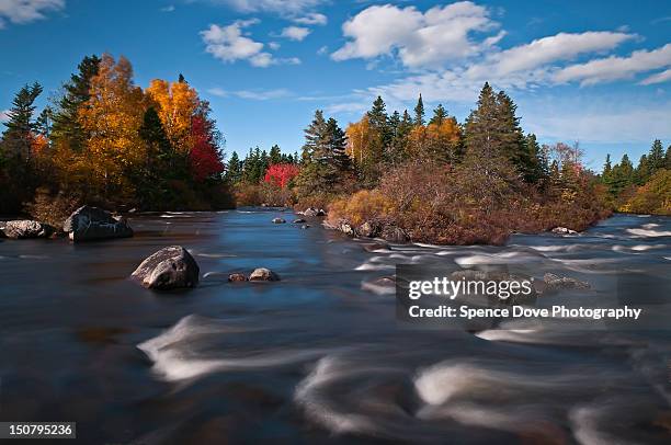 Newfoundland Color Rivers Renews Newfoundland And Labrador Photos and Premium High Res Pictures ...