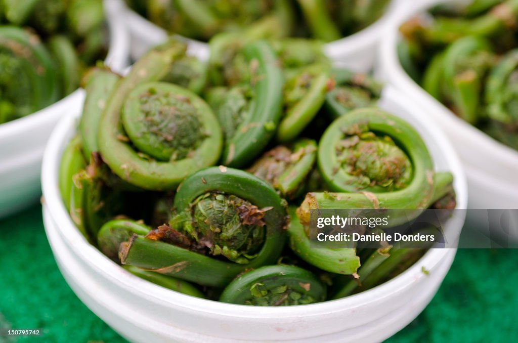 Fiddleheads at the market