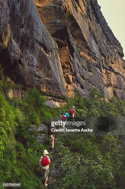 trail of red packs - blue mountains australia stock-fotos und bilder