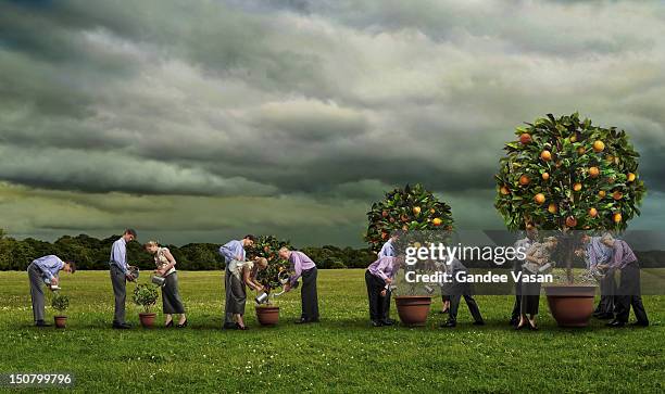 Growing Team, Foto de stock