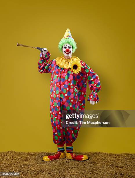 portrait of a clown - clown stockfoto's en -beelden