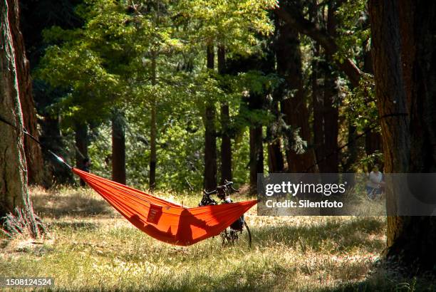 above it all - beacon hill park stock pictures, royalty-free photos & images