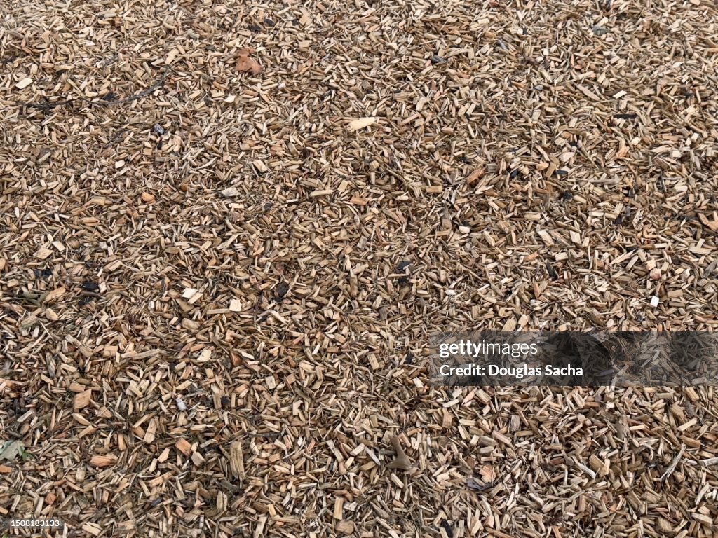 Landscaped yard of wood chip mulch