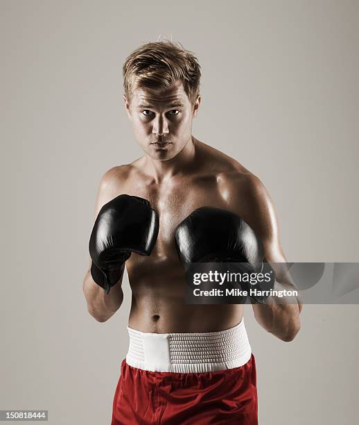 boxer - boxing stock pictures, royalty-free photos & images