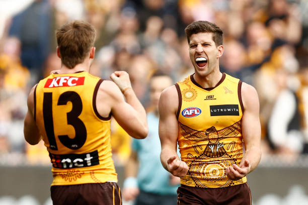 Luke Breust of the Hawks celebrates a goal during the round 16 AFL match between Hawthorn Hawks and Carlton Blues at Melbourne Cricket Ground, on...
