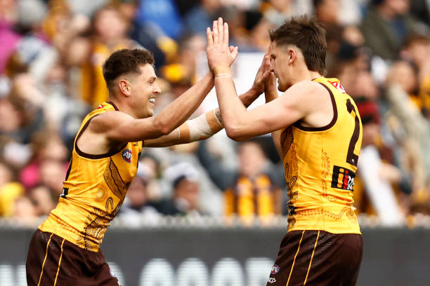 Fergus Greene of the Hawks celebrates a goal during the round 16 AFL match between Hawthorn Hawks and Carlton Blues at Melbourne Cricket Ground, on...