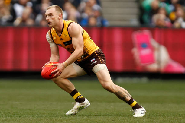 James Worpel of the Hawks runs with the ball during the round 16 AFL match between Hawthorn Hawks and Carlton Blues at Melbourne Cricket Ground, on...