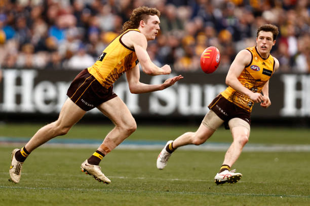 Josh Weddle of the Hawks handballs during the round 16 AFL match between Hawthorn Hawks and Carlton Blues at Melbourne Cricket Ground, on July 02 in...