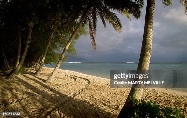 Palms trees lean out towards the sea on a beach in Avarua on Rarotonga, the largest Island in the Cook Islands on August 27, 2012. The island will...