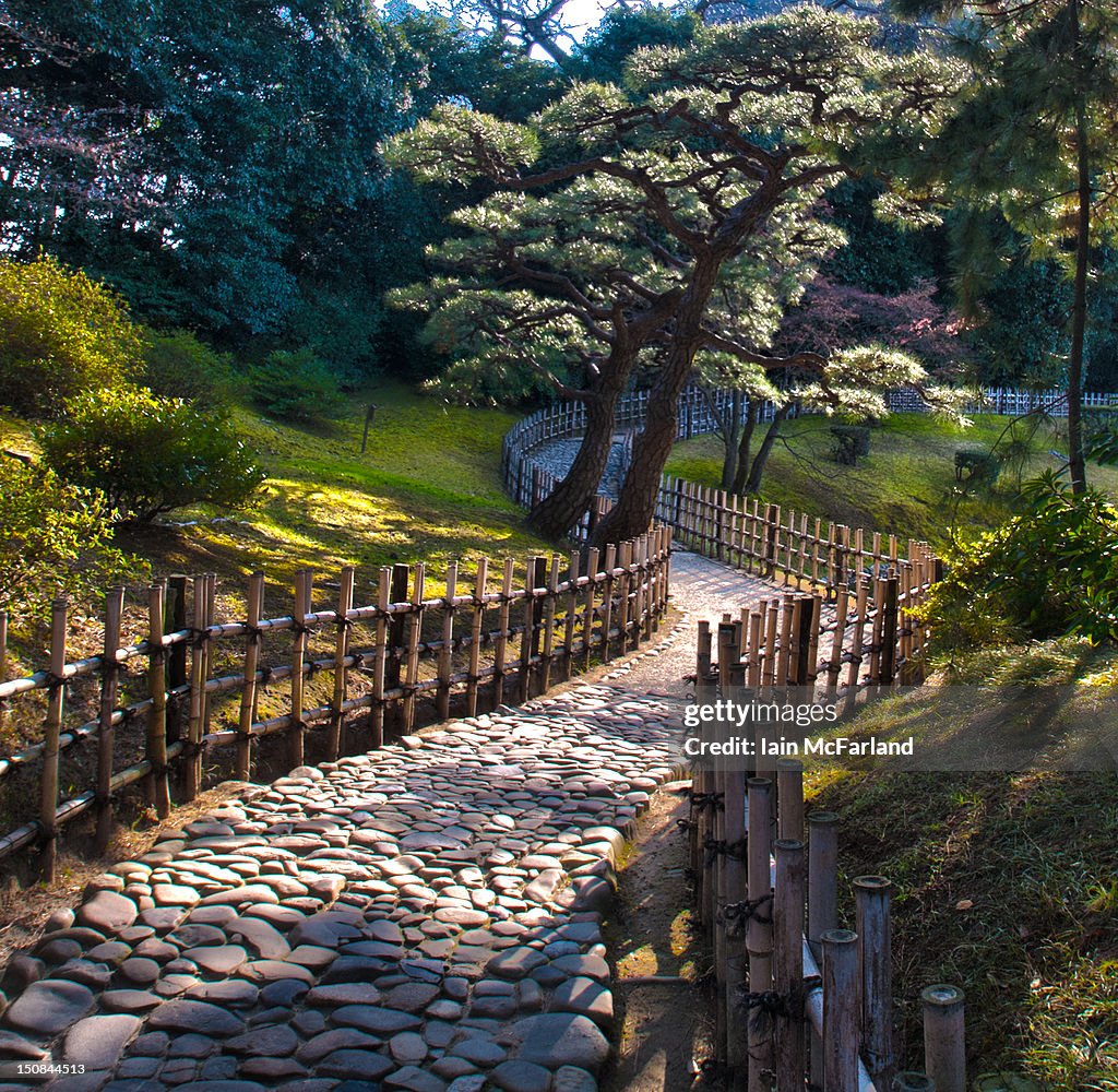 Garden path