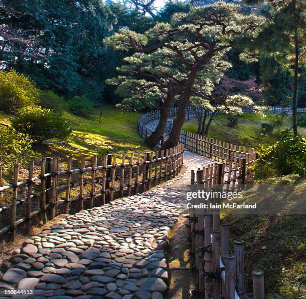 garden path - takamatsu bildbanksfoton och bilder
