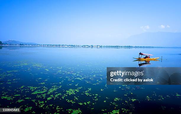 dal lake - vale de caxemira - fotografias e filmes do acervo