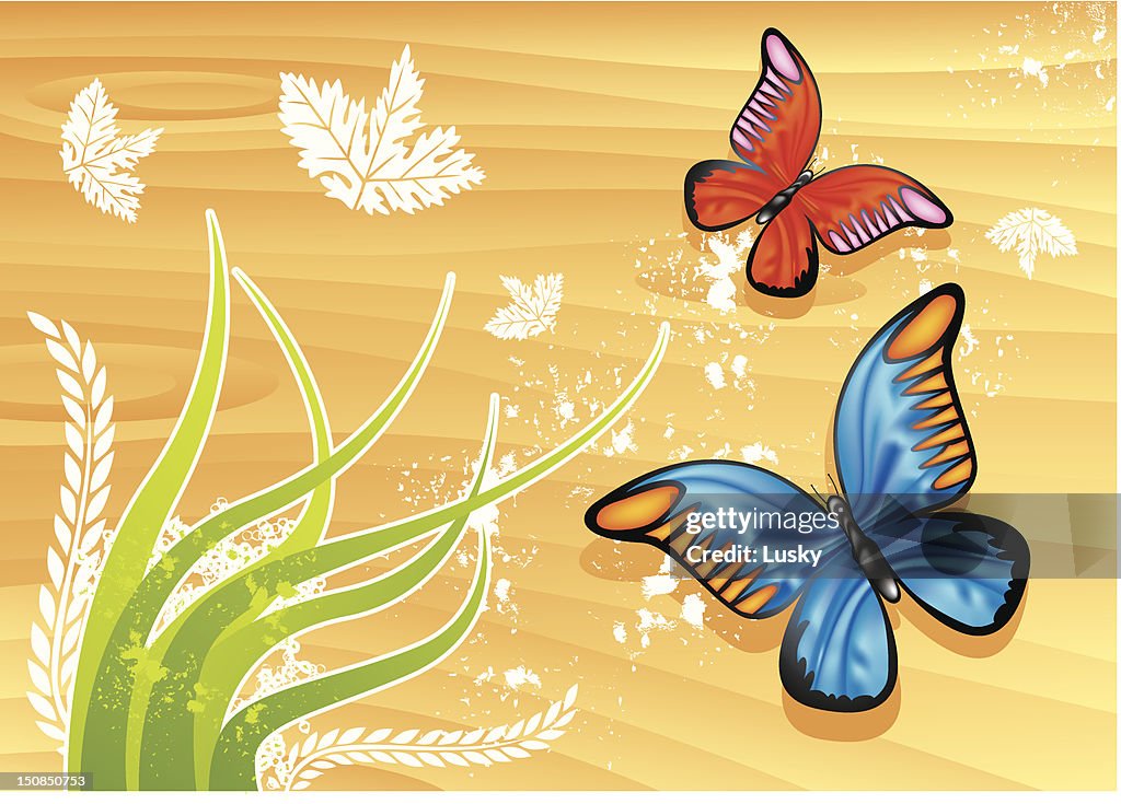 Butterflys in summer