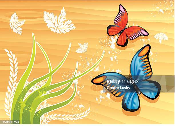 butterflys in summer - marram grass stock illustrations