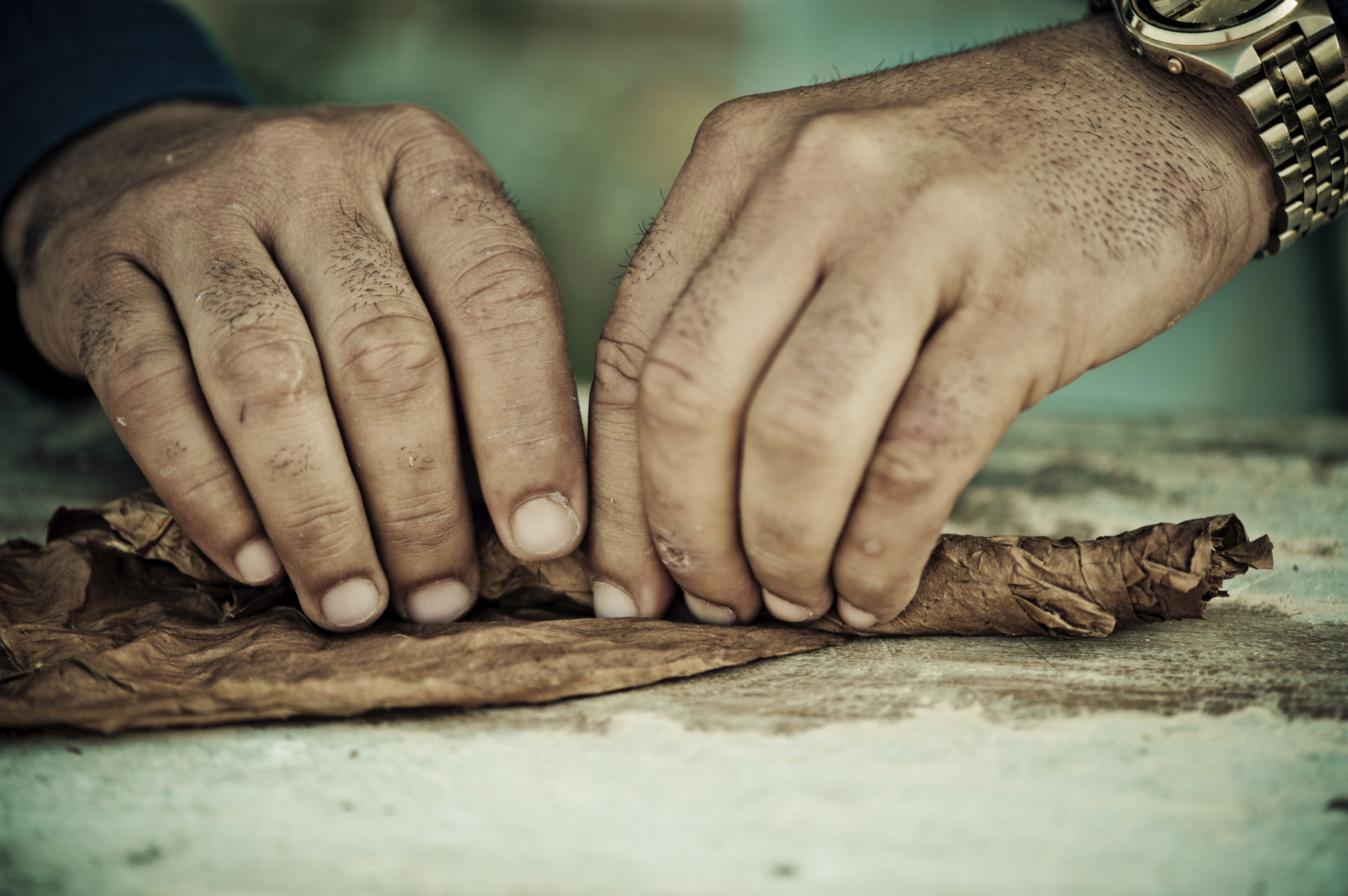 hand rolling cigar