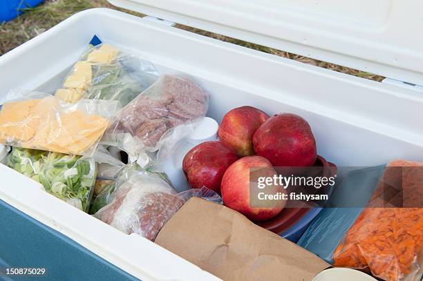 blue igloo cooler, filled with picnic food - igloo coolers stock pictures, royalty-free photos & images