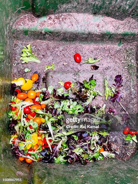 Compost Craft Background Composting Background Photos and Premium High Res Pictures - Getty Images