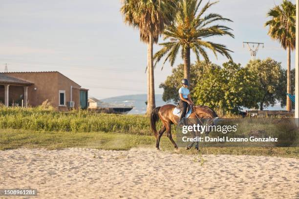 tranquil scene of a jockey riding a horse - animal head human body stock pictures, royalty-free photos & images